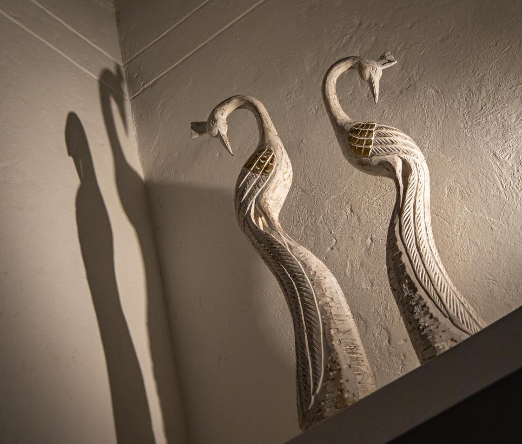 Casa Jacaranda Hotel Boutique - Cauca Viejo - Mayores De 14 Anos - Jerico Εξωτερικό φωτογραφία