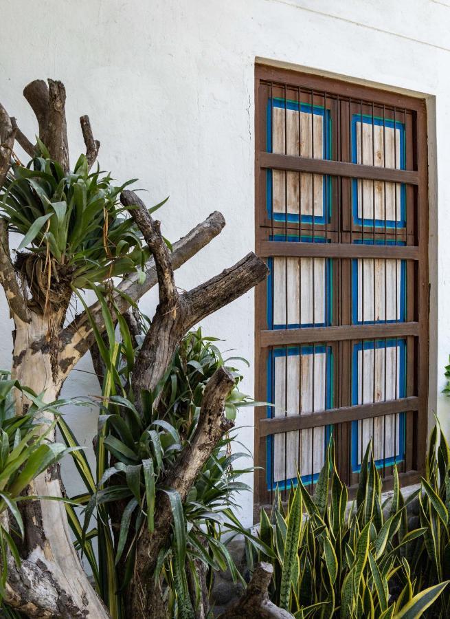 Casa Jacaranda Hotel Boutique - Cauca Viejo - Mayores De 14 Anos - Jerico Εξωτερικό φωτογραφία