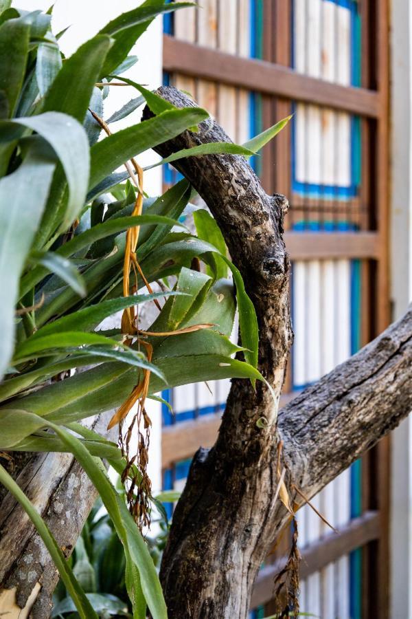 Casa Jacaranda Hotel Boutique - Cauca Viejo - Mayores De 14 Anos - Jerico Εξωτερικό φωτογραφία