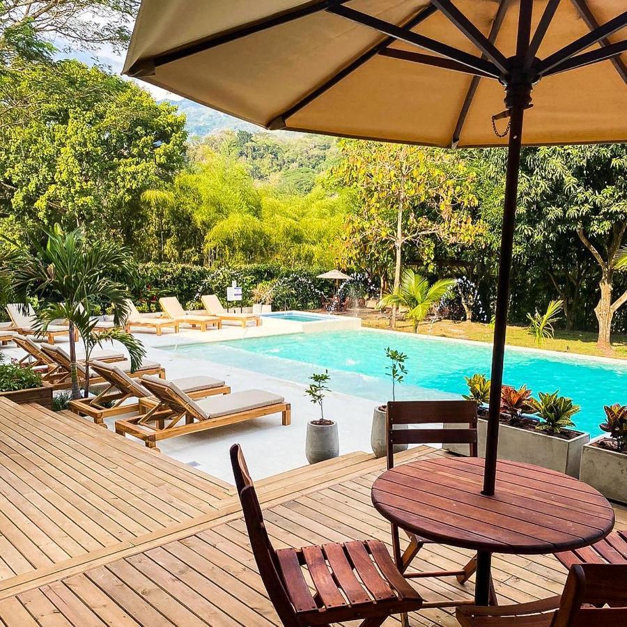 Casa Jacaranda Hotel Boutique - Cauca Viejo - Mayores De 14 Anos - Jerico Εξωτερικό φωτογραφία